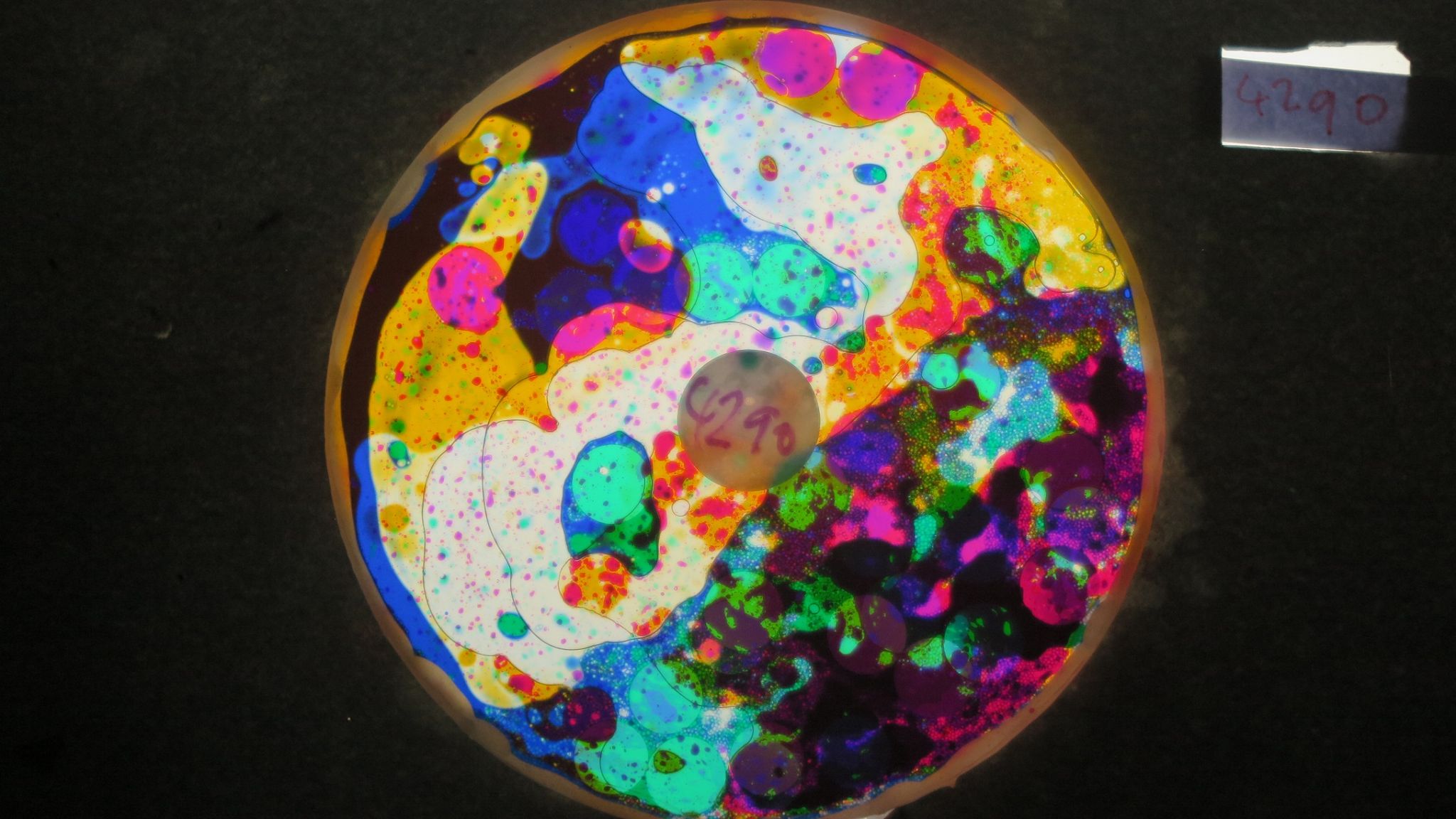 BV4290 bubble vision oil wheel